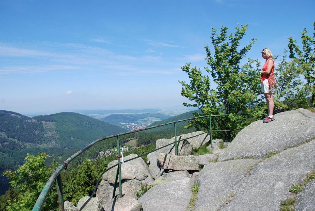 Ferienwohnung-Bergblick Bad Harzburg Kültér fotó