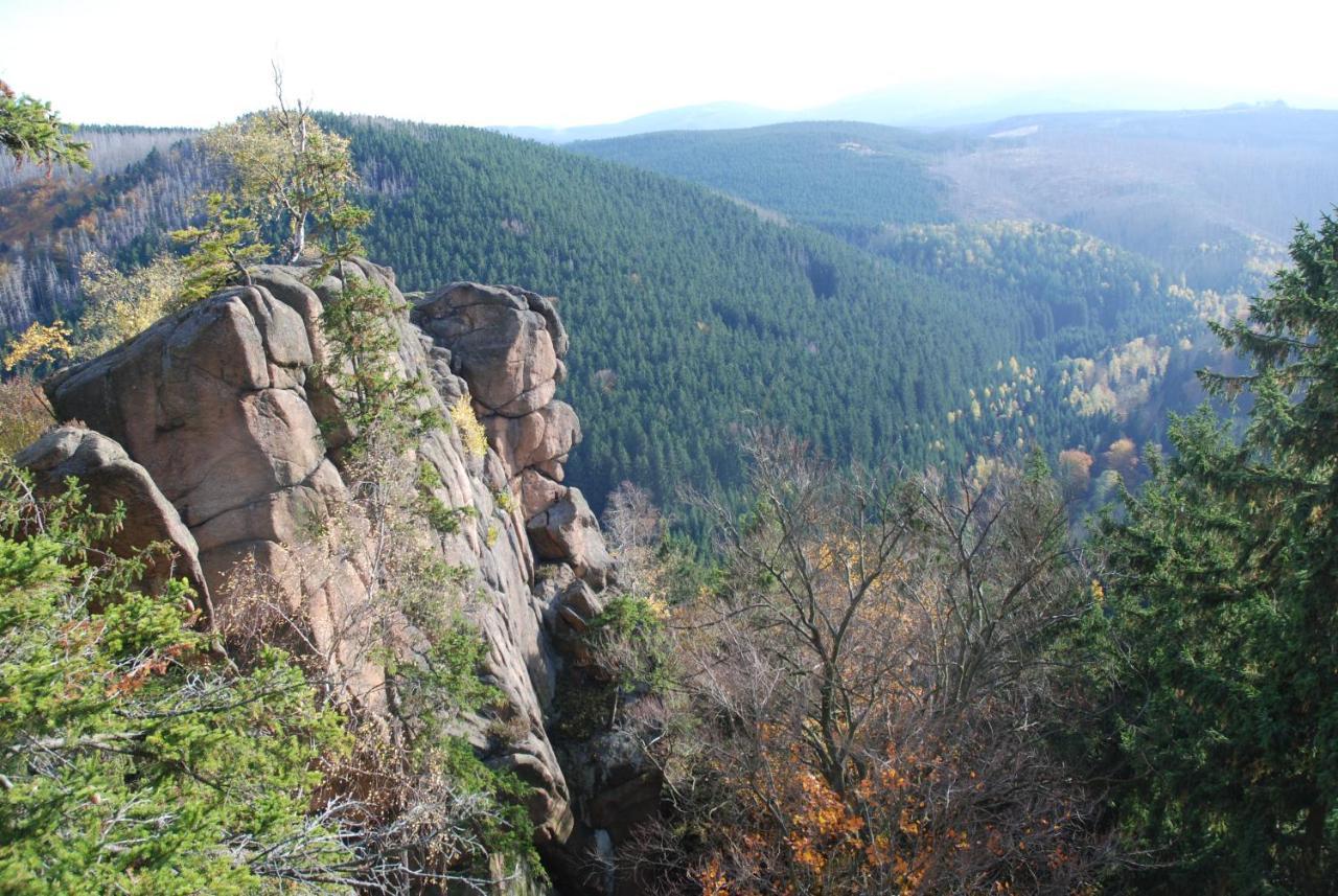 Ferienwohnung-Bergblick Bad Harzburg Kültér fotó