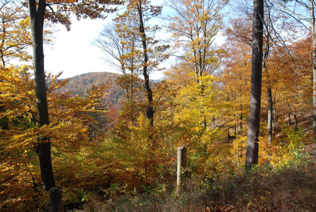 Ferienwohnung-Bergblick Bad Harzburg Kültér fotó